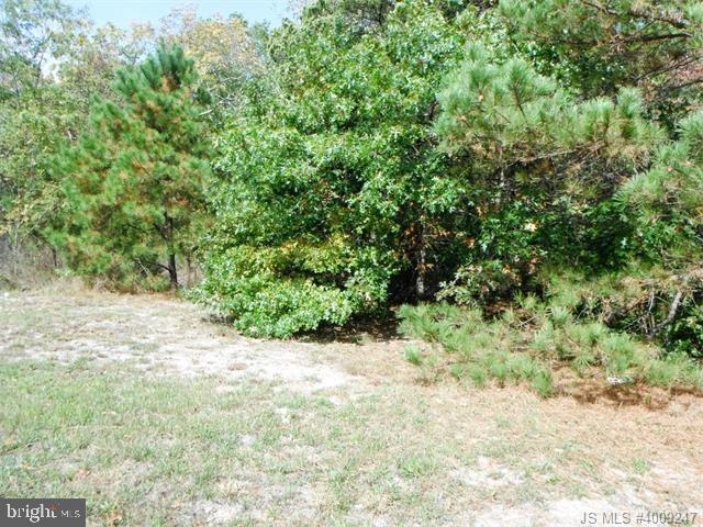 81 Gunning River Road Barnegat, NJ 08005 - Photo 2 of 10 Gallery Image 2