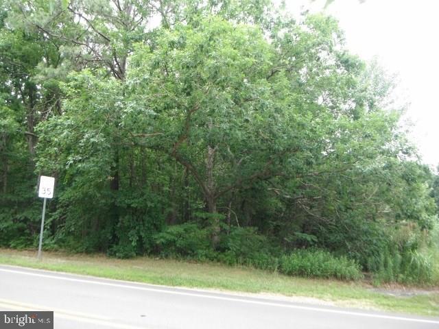 81 Gunning River Road Barnegat, NJ 08005 - Photo 6 of 10 Gallery Image 6