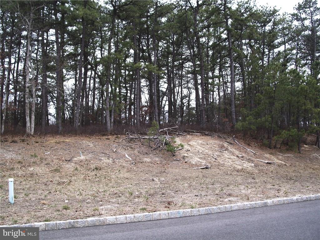 81 Gunning River Road Barnegat, NJ 08005 - Photo 7 of 10 Gallery Image 7