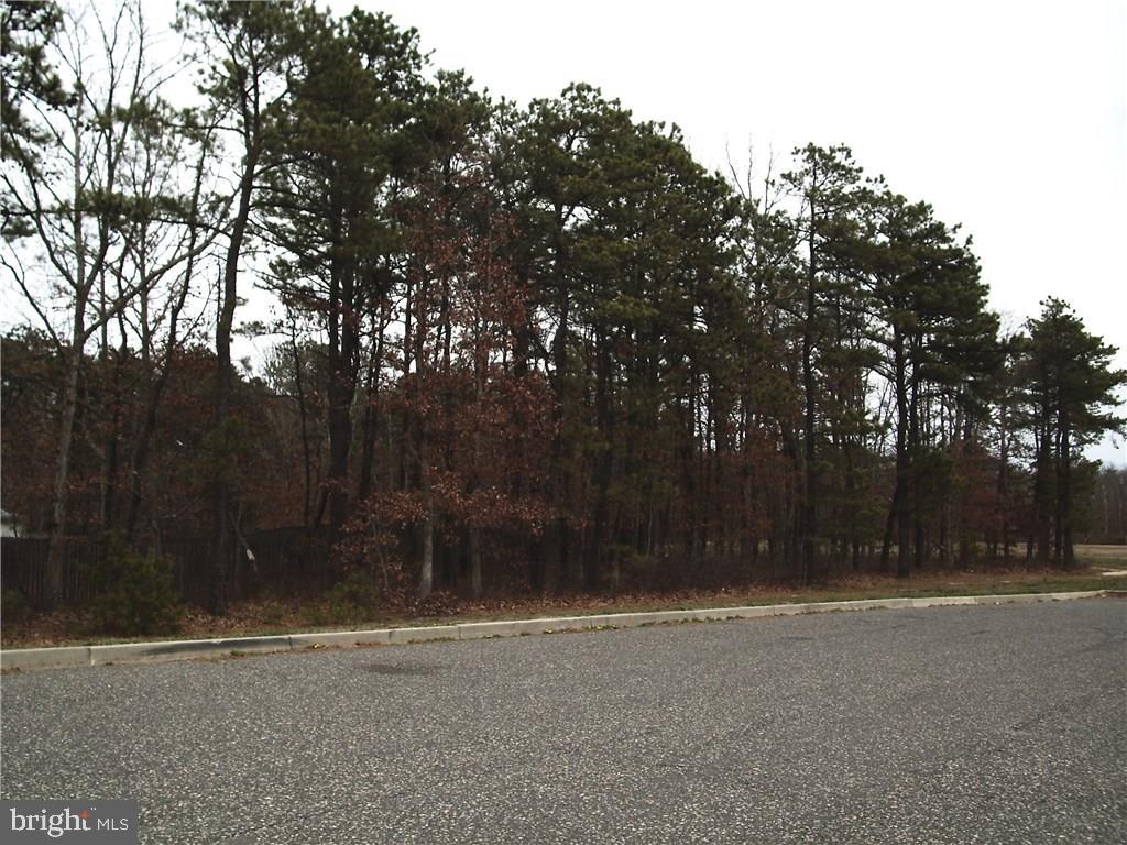 81 Gunning River Road Barnegat, NJ 08005 - Photo 8 of 10 Gallery Image 8