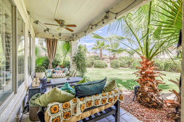 a view of a garden from a building