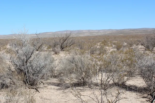 $24,500 | 2329 Blk 82 Sec 1 Psl, Van Horn, TX 79855