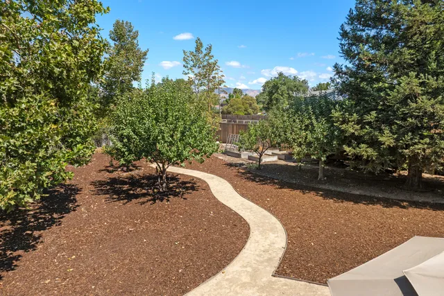 a view of a road with plants and a bench