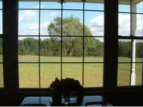 12343 East Hobbieville Road Springville, IN 47462 - Photo 9 of 15 Gallery Image 9