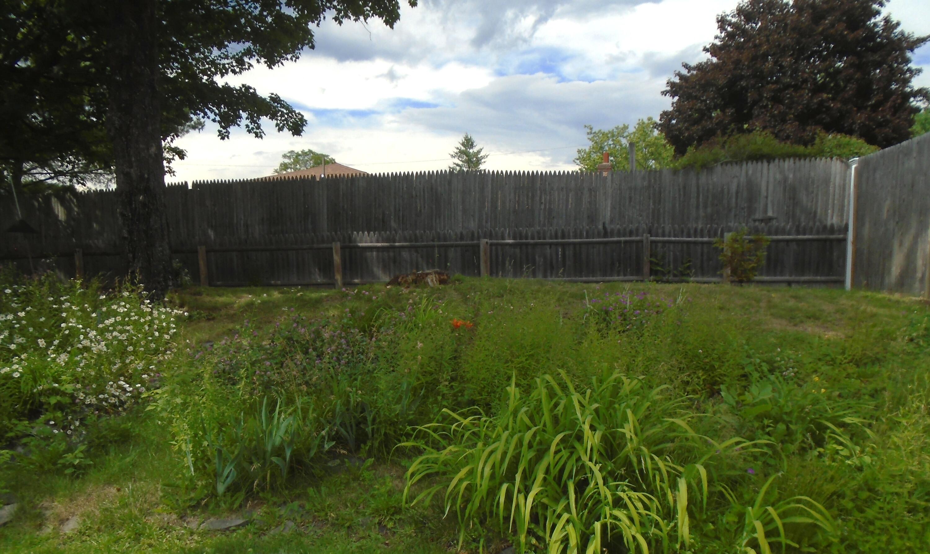 17 Sam Street Winslow, ME 04901 - Photo 24 of 29 Back Yard