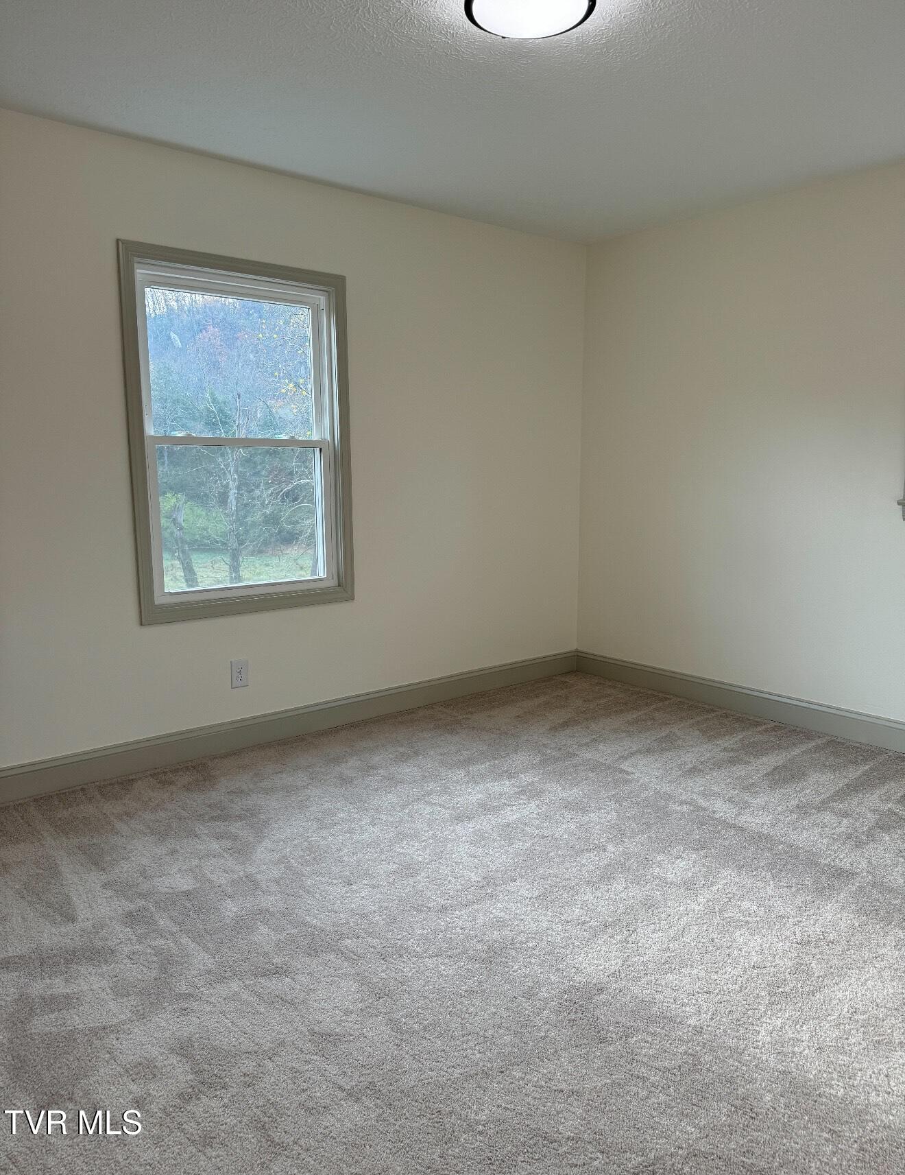 533 Cedar Valley Road Bristol, TN 37620 - Photo 7 of 14 IMG_1502