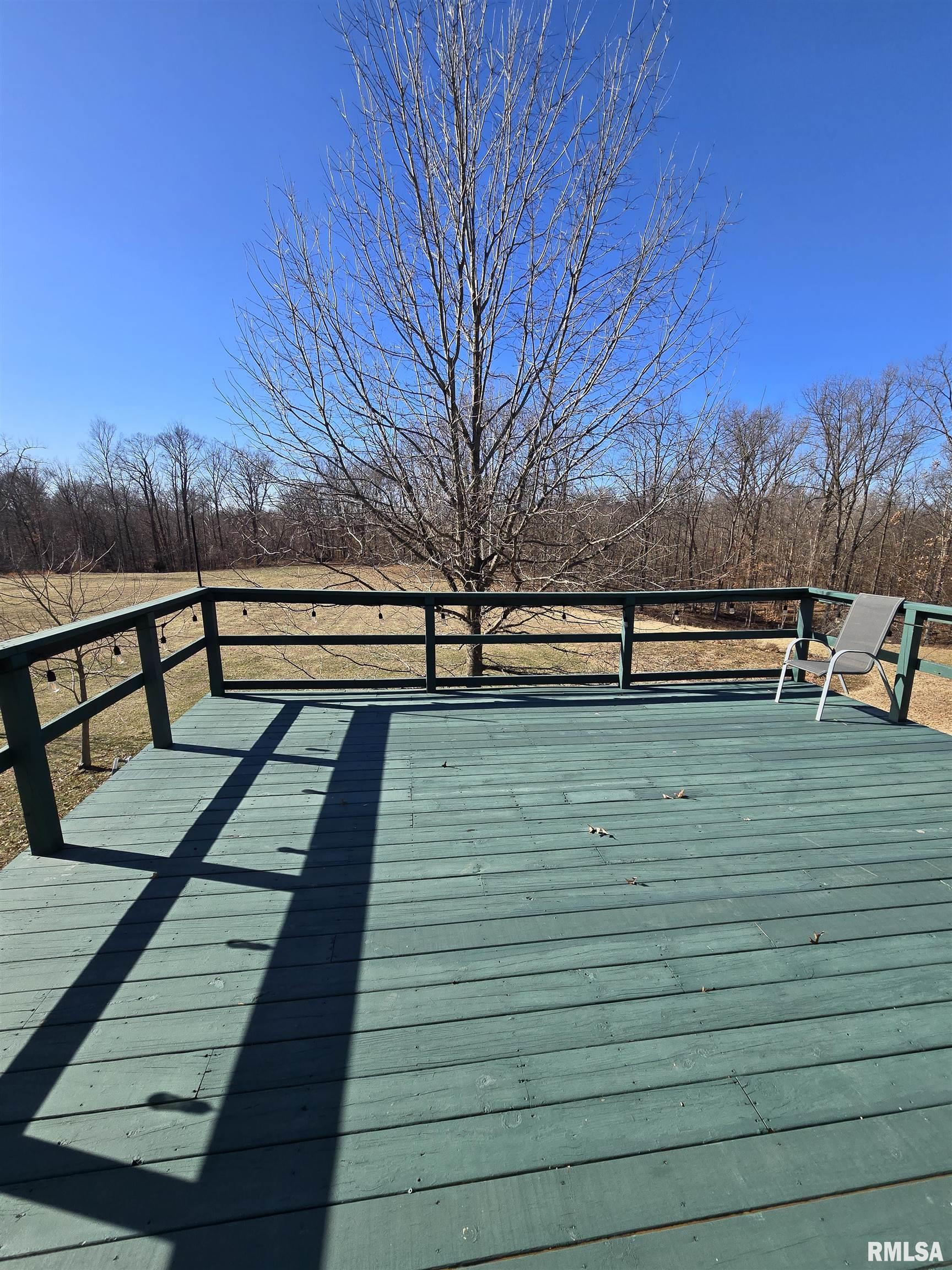 361 Cherokee Ridge Lane De Soto, IL 62924 - Photo 11 of 48