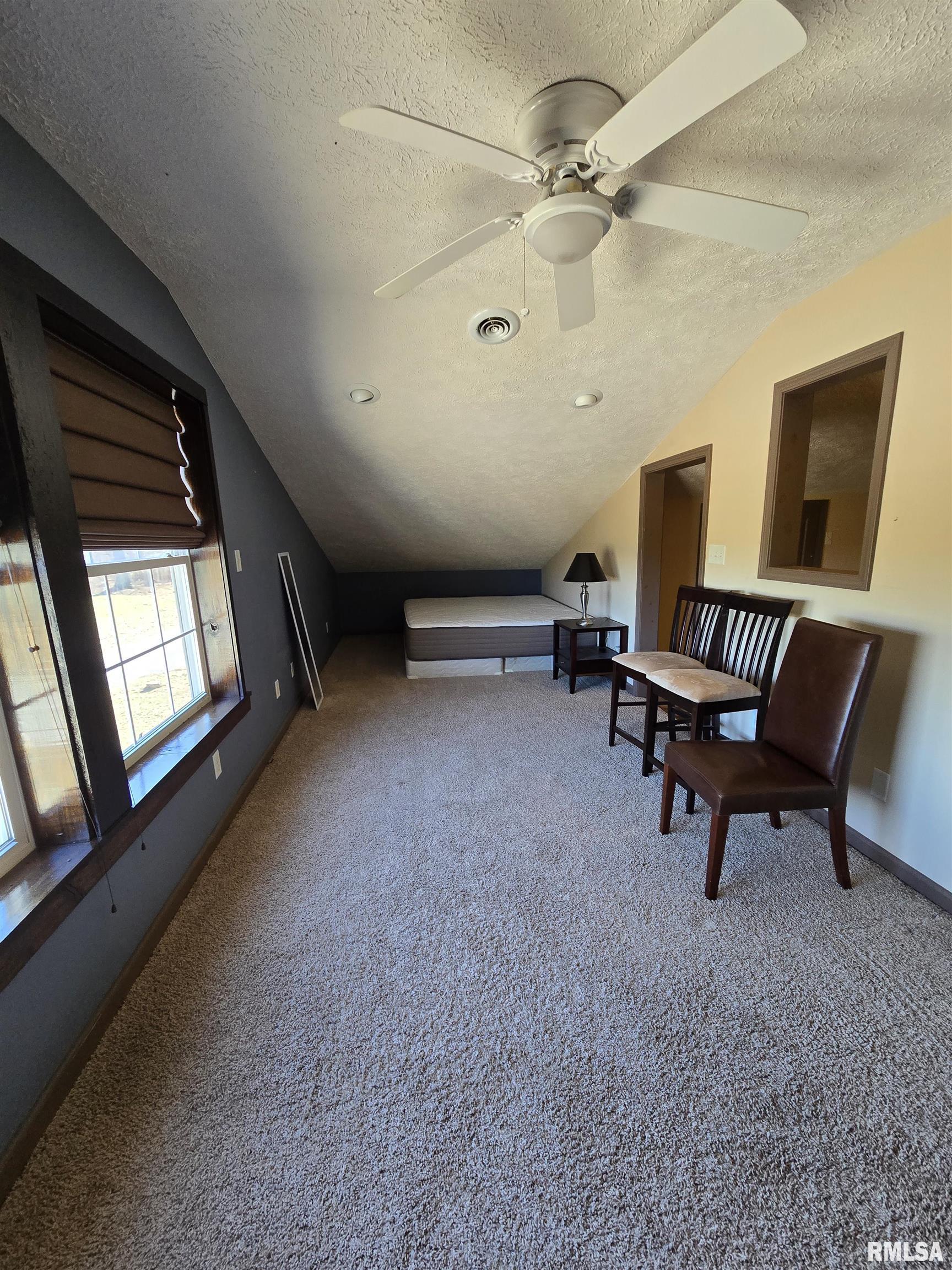 361 Cherokee Ridge Lane De Soto, IL 62924 - Photo 14 of 48