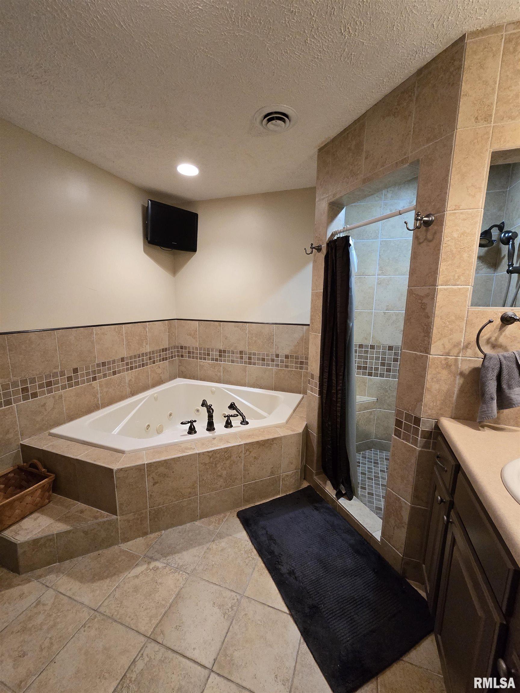 361 Cherokee Ridge Lane De Soto, IL 62924 - Photo 17 of 48