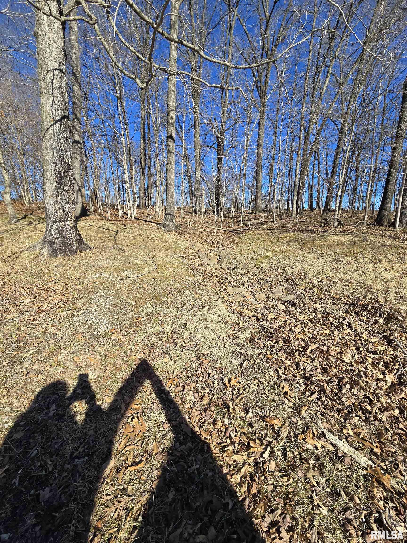 361 Cherokee Ridge Lane De Soto, IL 62924 - Photo 25 of 48