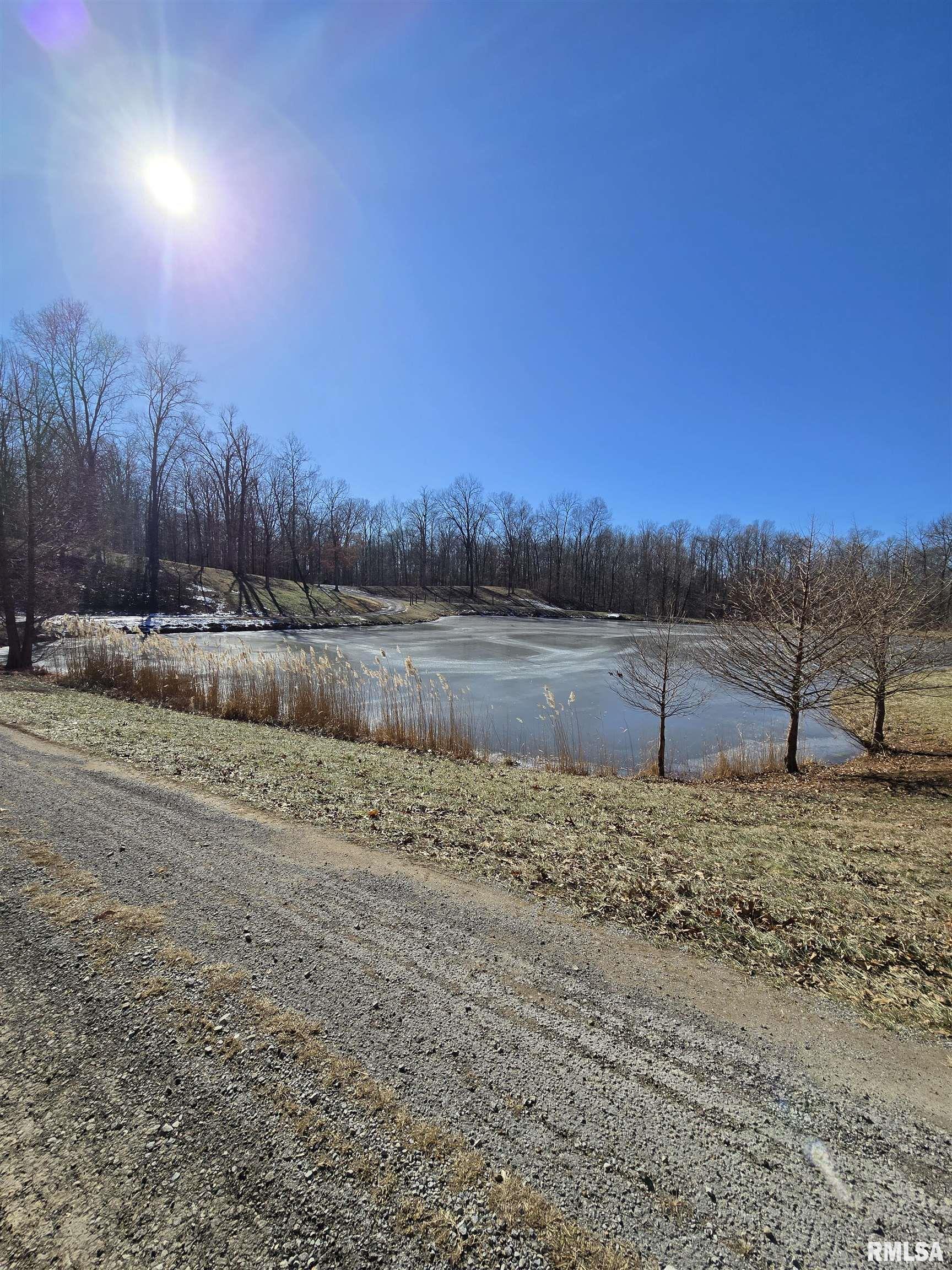 361 Cherokee Ridge Lane De Soto, IL 62924 - Photo 26 of 48