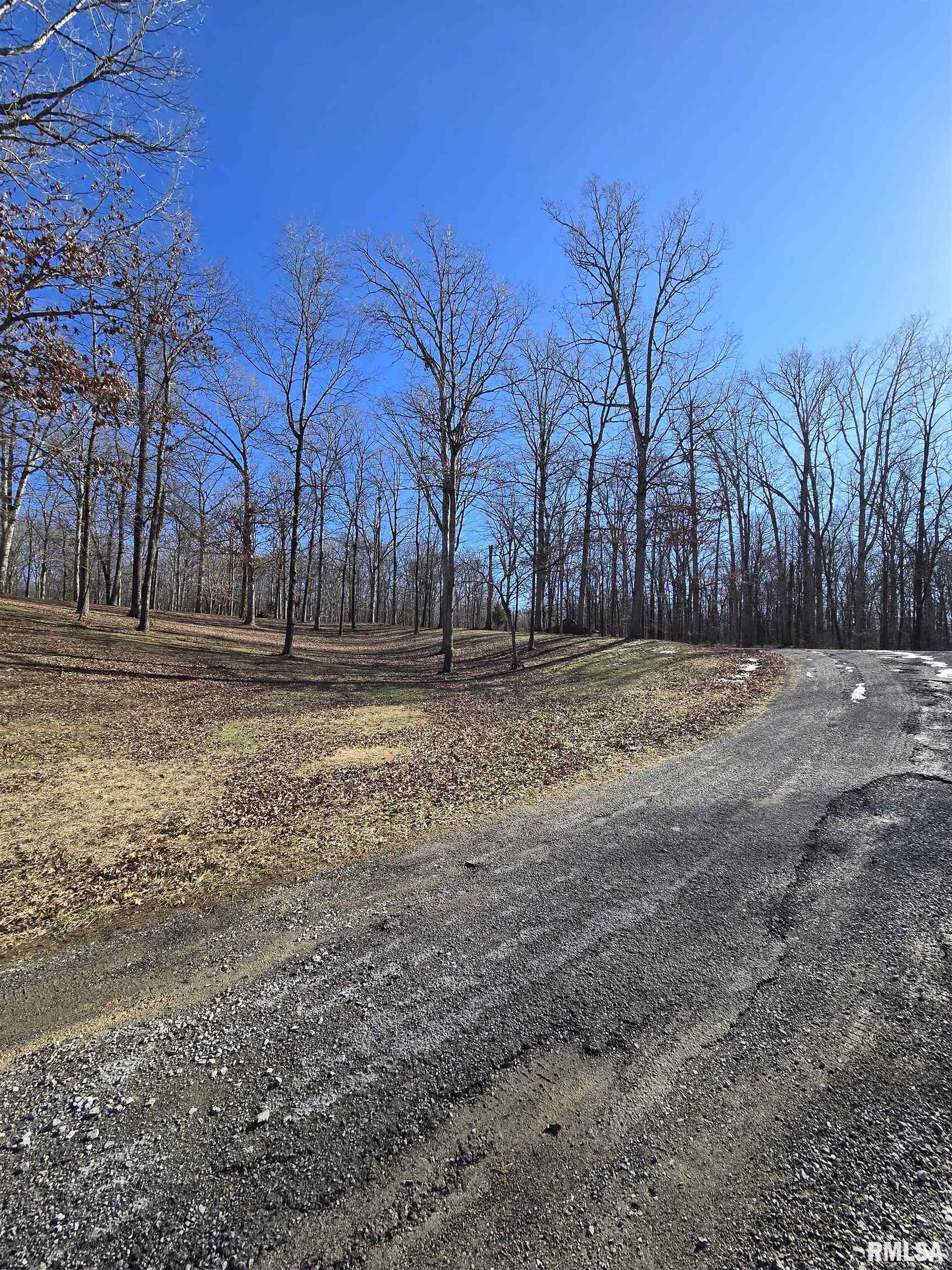 361 Cherokee Ridge Lane De Soto, IL 62924 - Photo 27 of 48