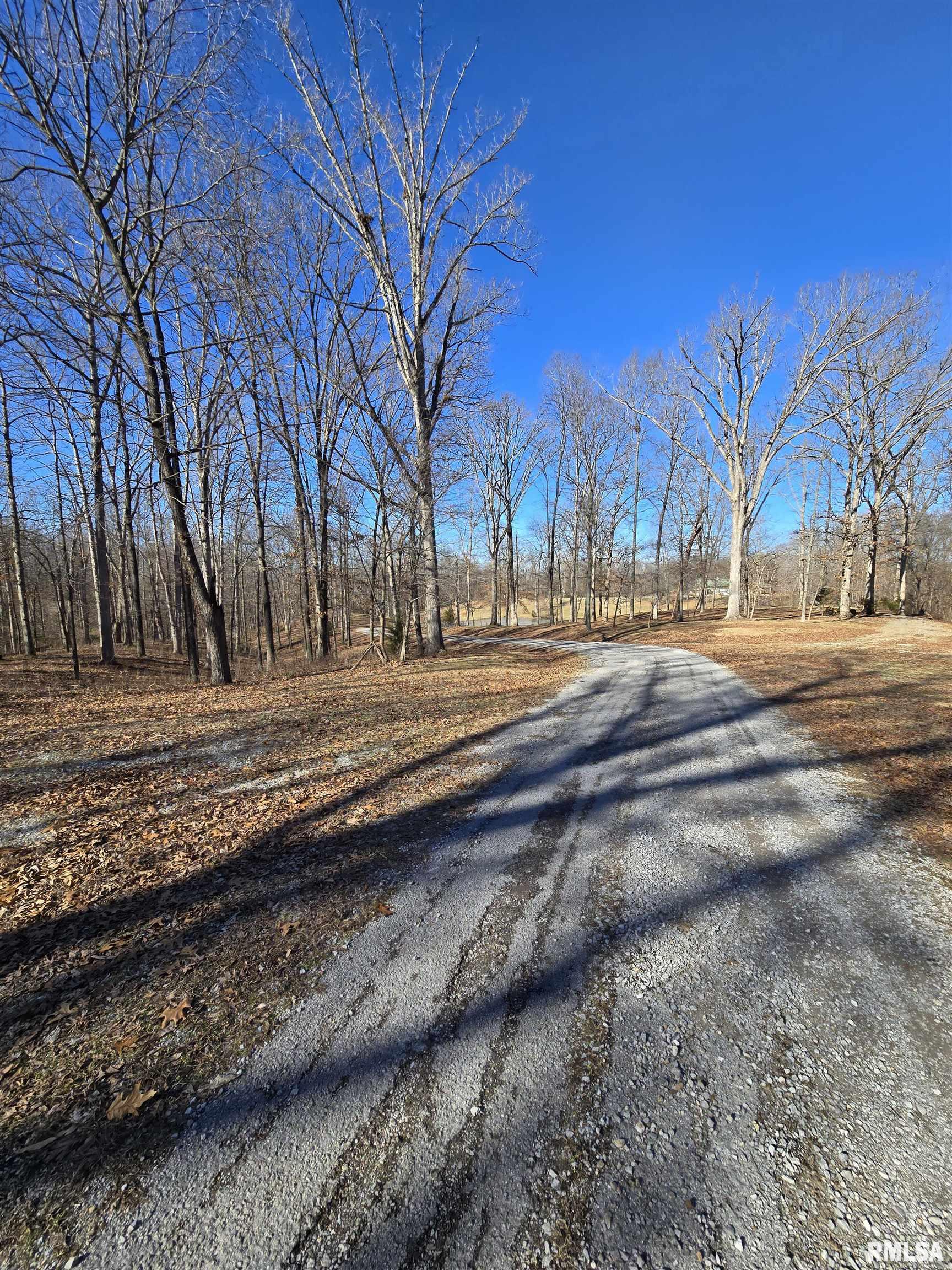 361 Cherokee Ridge Lane De Soto, IL 62924 - Photo 29 of 48