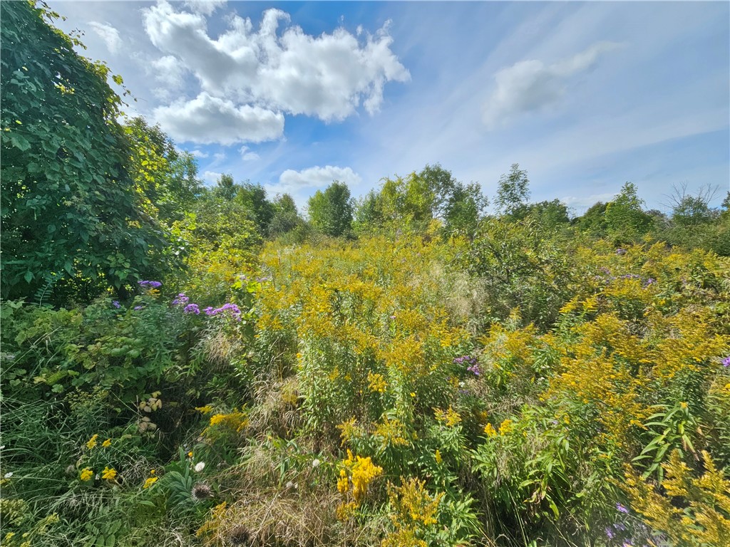 8237 Ford Road Pulteney, NY 14418 - Photo 20 of 48 Gallery Image 20