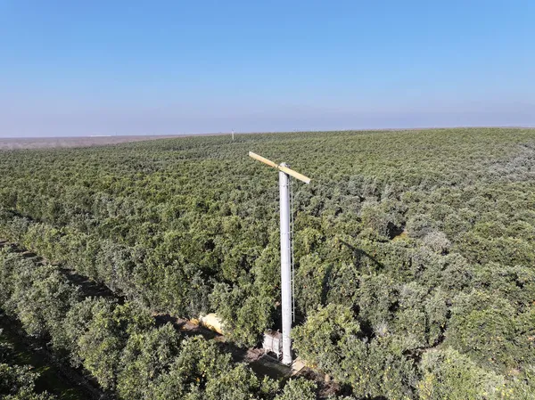 a view of a field with an ocean