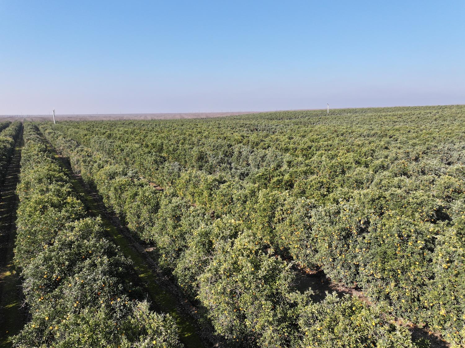 0 Quinn Road Delano, CA 93215 - Photo 3 of 5