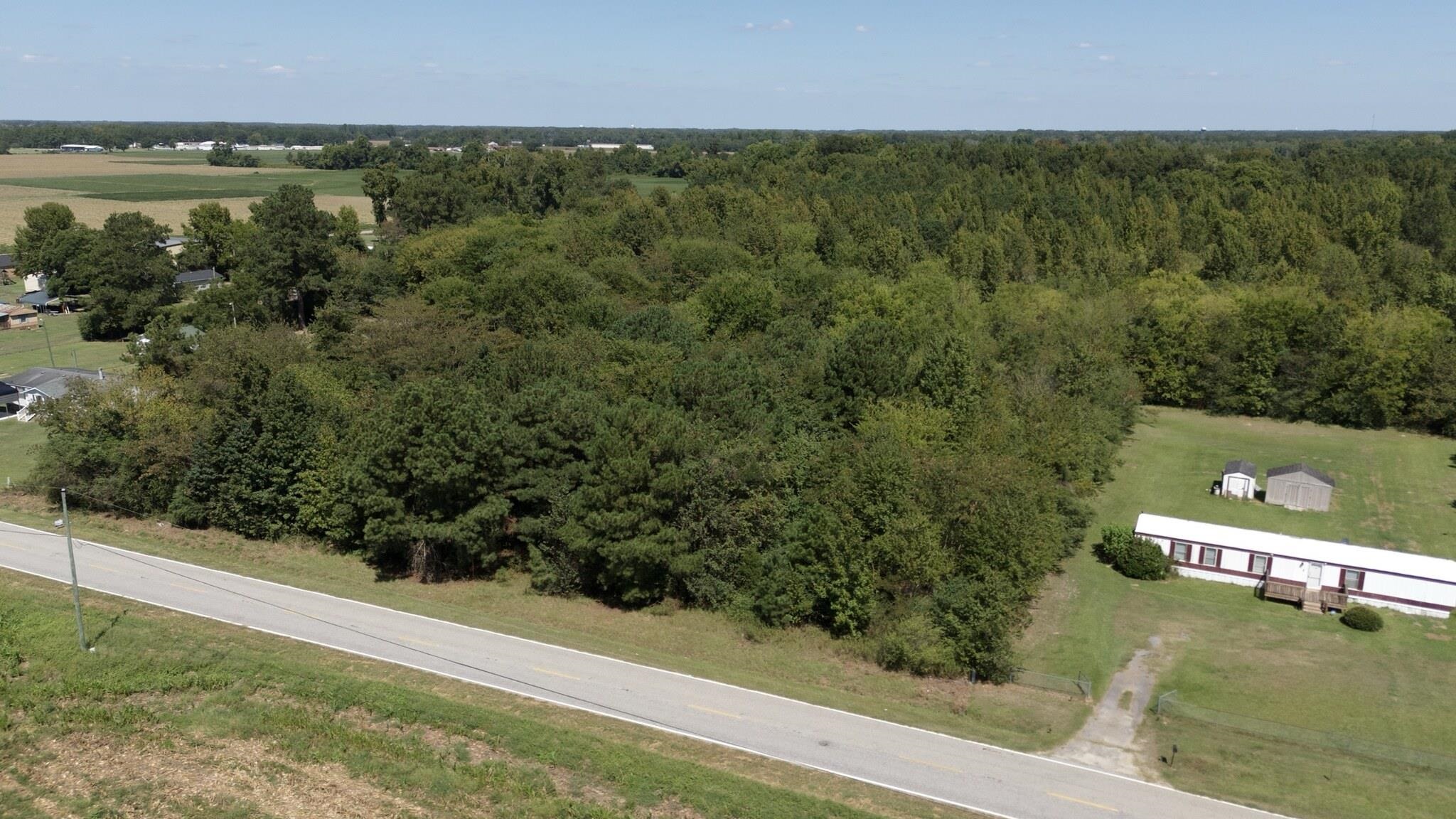 Tbd Black Branch Road Dillon, SC 29536 - Photo 6 of 7 Gallery Image 6