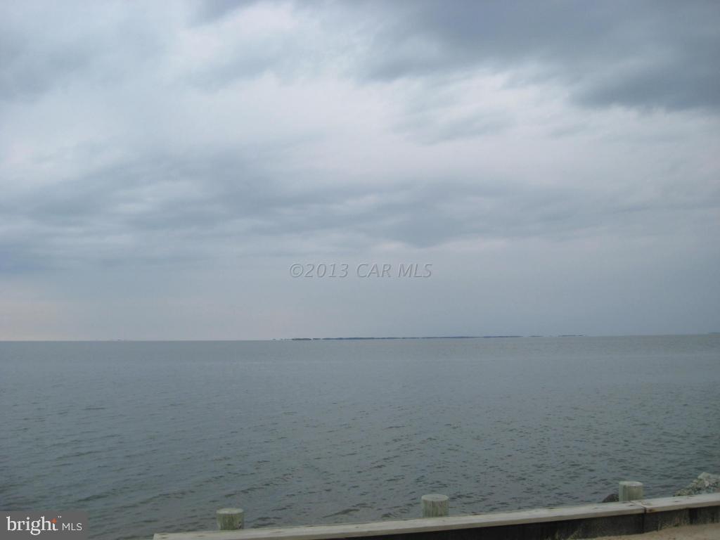 23121 Edelen Webster Road Deal Island, MD 21821 - Photo 2 of 5 Gallery Image 2
