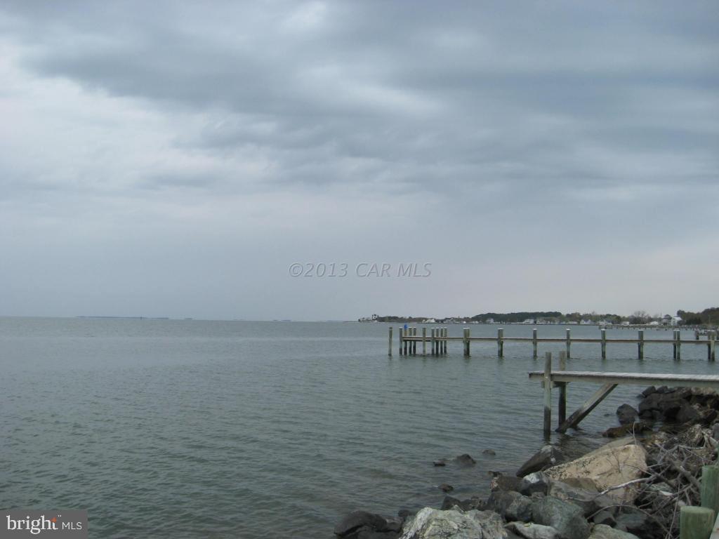 23121 Edelen Webster Road Deal Island, MD 21821 - Photo 3 of 5 Gallery Image 3