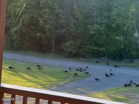 190 Wes Brown Road Cherry Valley, NY 13320 - Photo 7 of 38 Turkeys