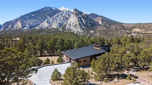a view of a backyard with a mountain and trees