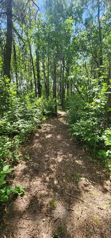 $434,900 | 15909 County 23, Verndale, MN 56481