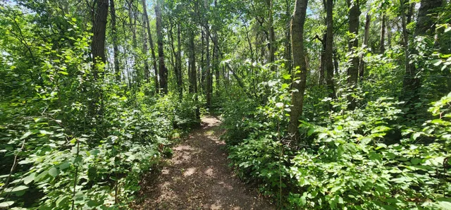 $434,900 | 15909 County 23, Verndale, MN 56481