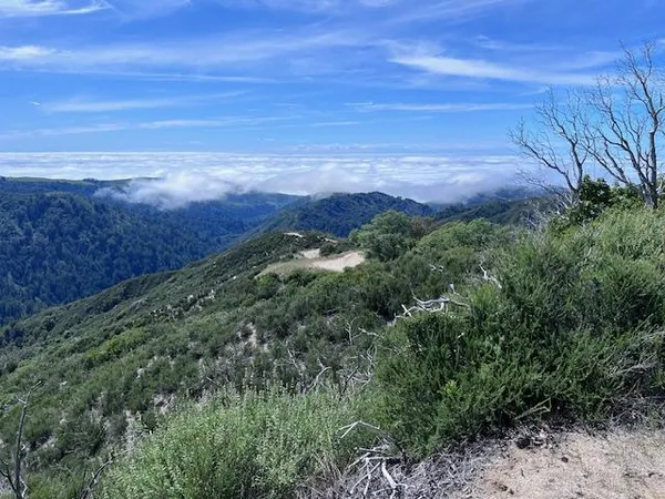 a view of a field with an ocean