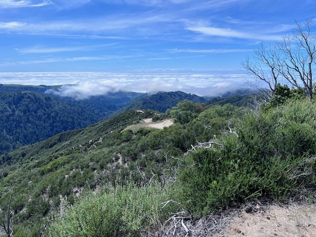 10 Long Ridge Palo Colorado Road Carmel, CA 93923 - Photo 1 of 7 a view of a field with an ocean