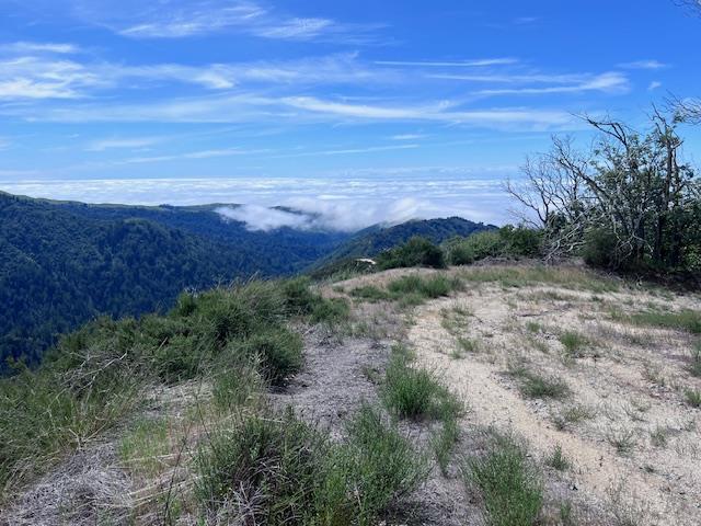 10 Long Ridge Palo Colorado Road Carmel, CA 93923 - Photo 2 of 7 a view of a field with an ocean