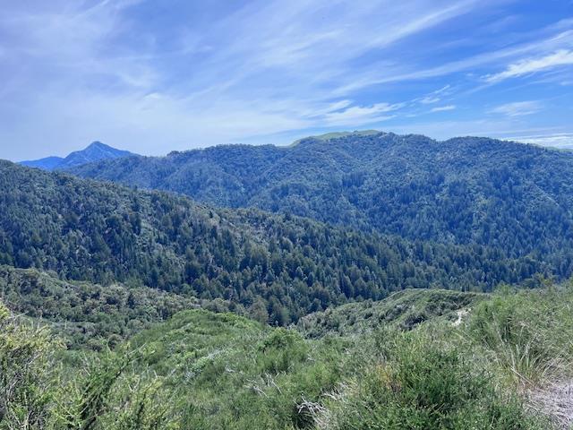 10 Long Ridge Palo Colorado Road Carmel, CA 93923 - Photo 3 of 7 a view of a lush green field