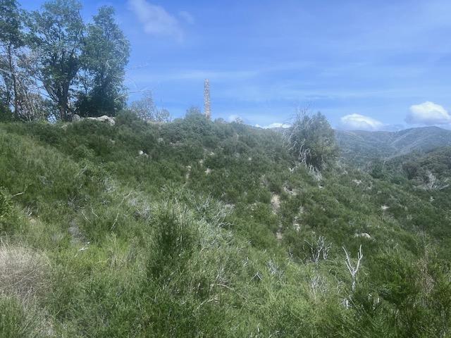 10 Long Ridge Palo Colorado Road Carmel, CA 93923 - Photo 5 of 7 a view of a city with lush green forest