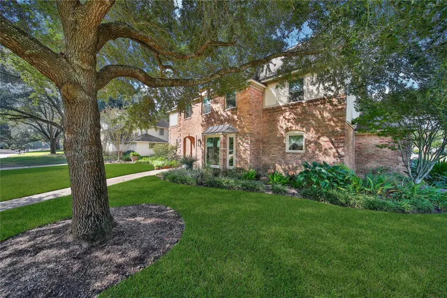 a view of a yard with a tree