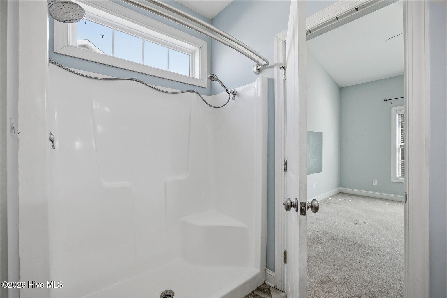 4838 Exton Park Loop Castle Hayne, NC 28429 - Photo 13 of 26 Primary Shower