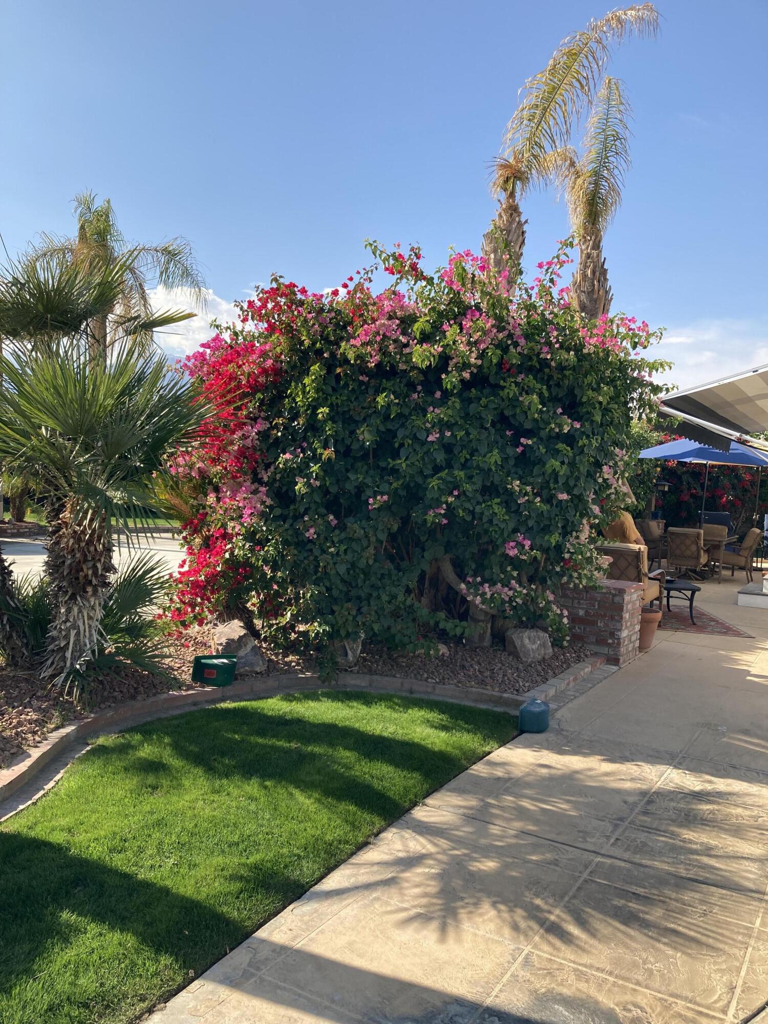 69411 Ramon Road, Unit 1042 Cathedral City, CA 92234 - Photo 7 of 14 IMG_1760