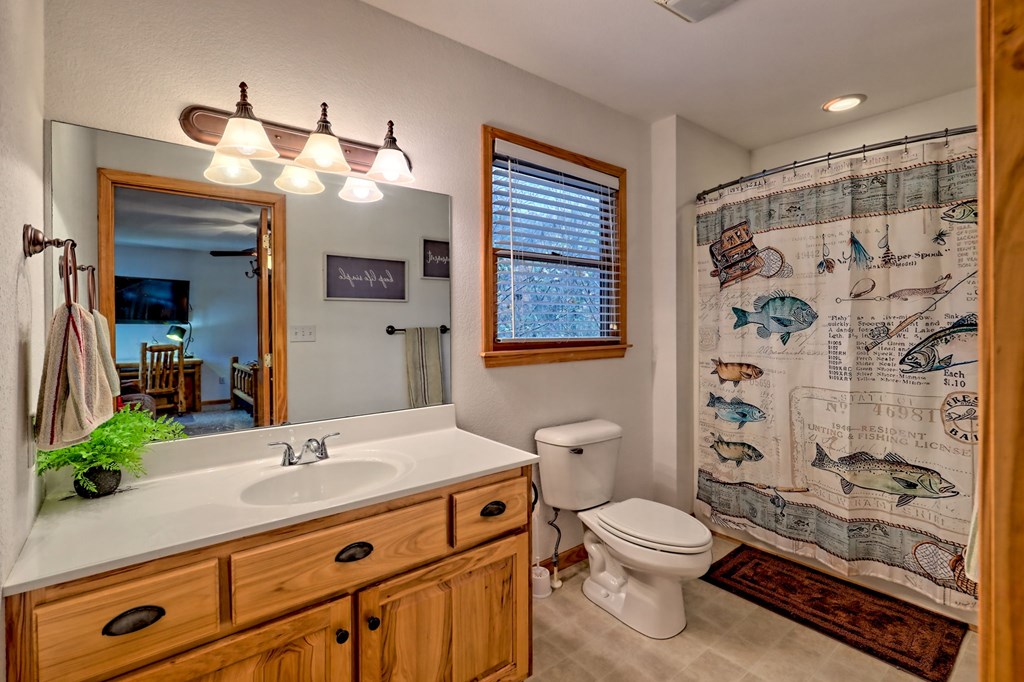 36 Prairie Crossing Murphy, NC 28906 - Photo 30 of 71 a bathroom with a sink a toilet a mirror a vanity and shower