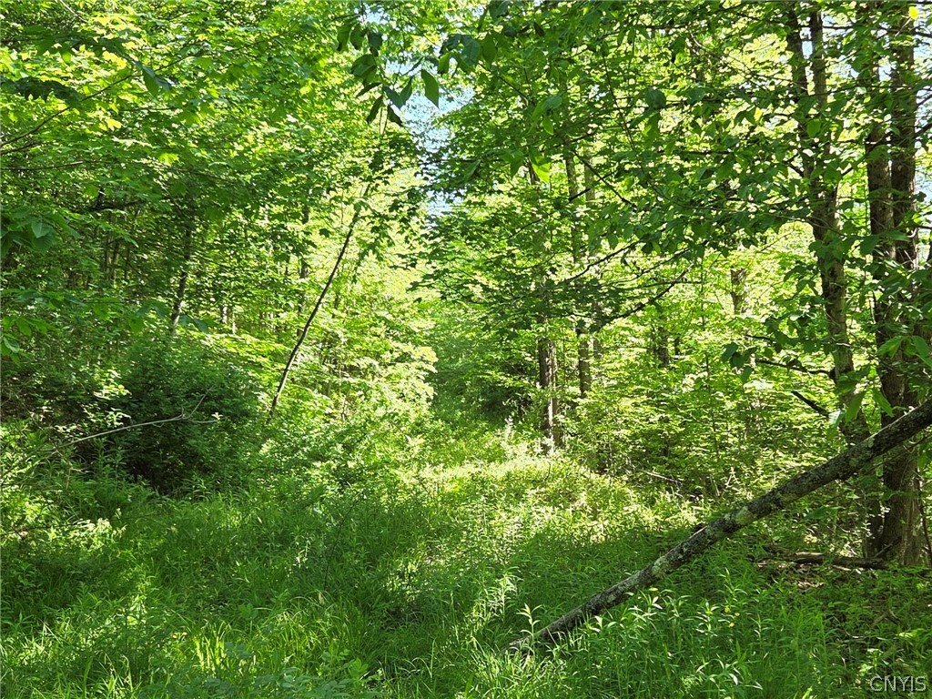 446 Nys Route Cuba, NY 14727 - Photo 23 of 47