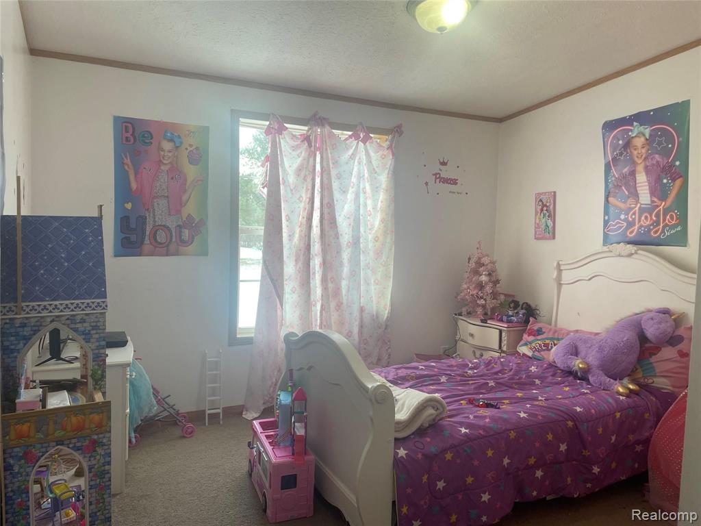 8083 Harris Road Millington, MI 48746 - Photo 9 of 19