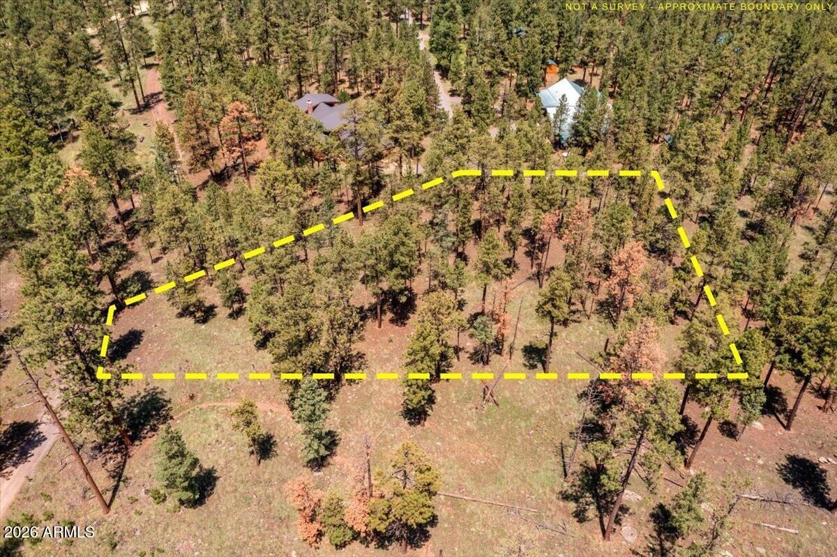 14 County Rd N1062, Unit 15 Greer, AZ 85927 - Photo 8 of 15 08-DJI_0461