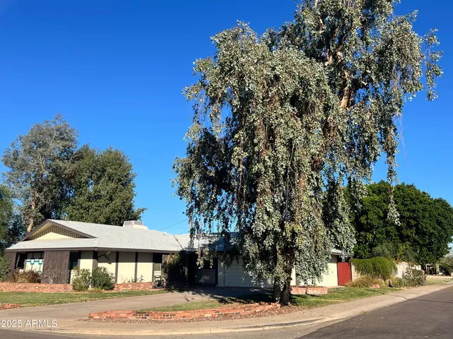 a view of a large tree in front of a house
