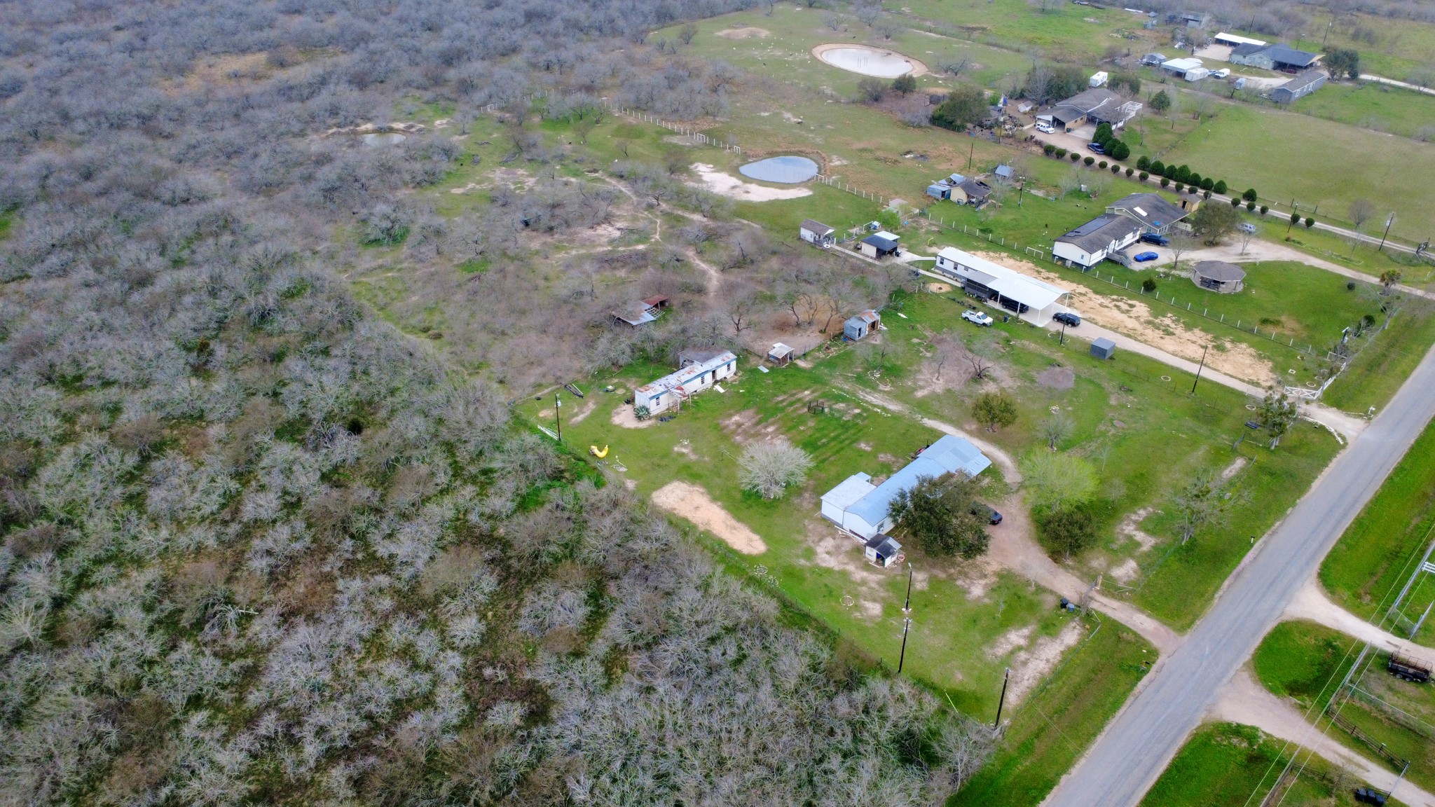 10571 Kerr Road Hempstead, TX 77445 - Photo 16 of 20 a picture of flowers