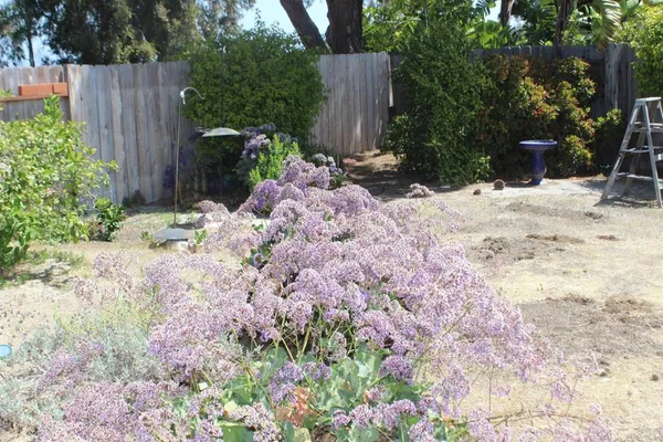 $2,500 | 348 San Dimas Avenue, Oceanside, CA 92057