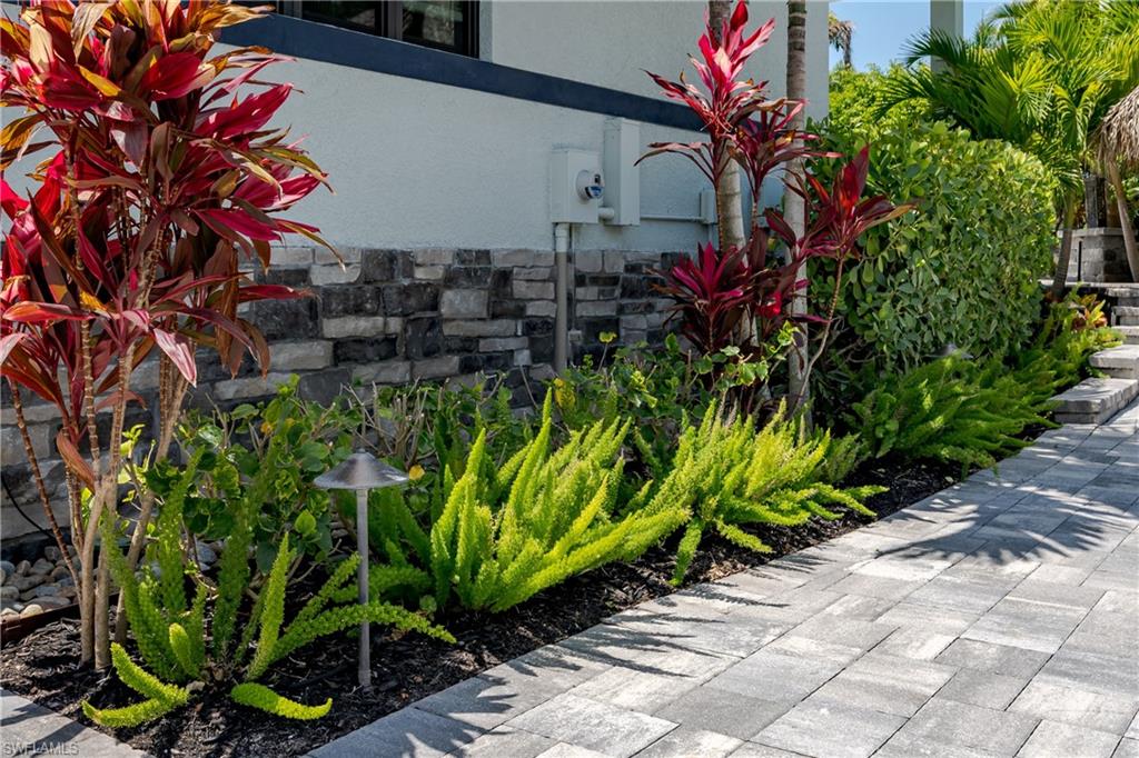 13613 Snapper Lane Naples, FL 34114 - Photo 18 of 49 a plant view