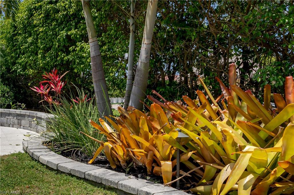 13613 Snapper Lane Naples, FL 34114 - Photo 42 of 49 a view of a yard