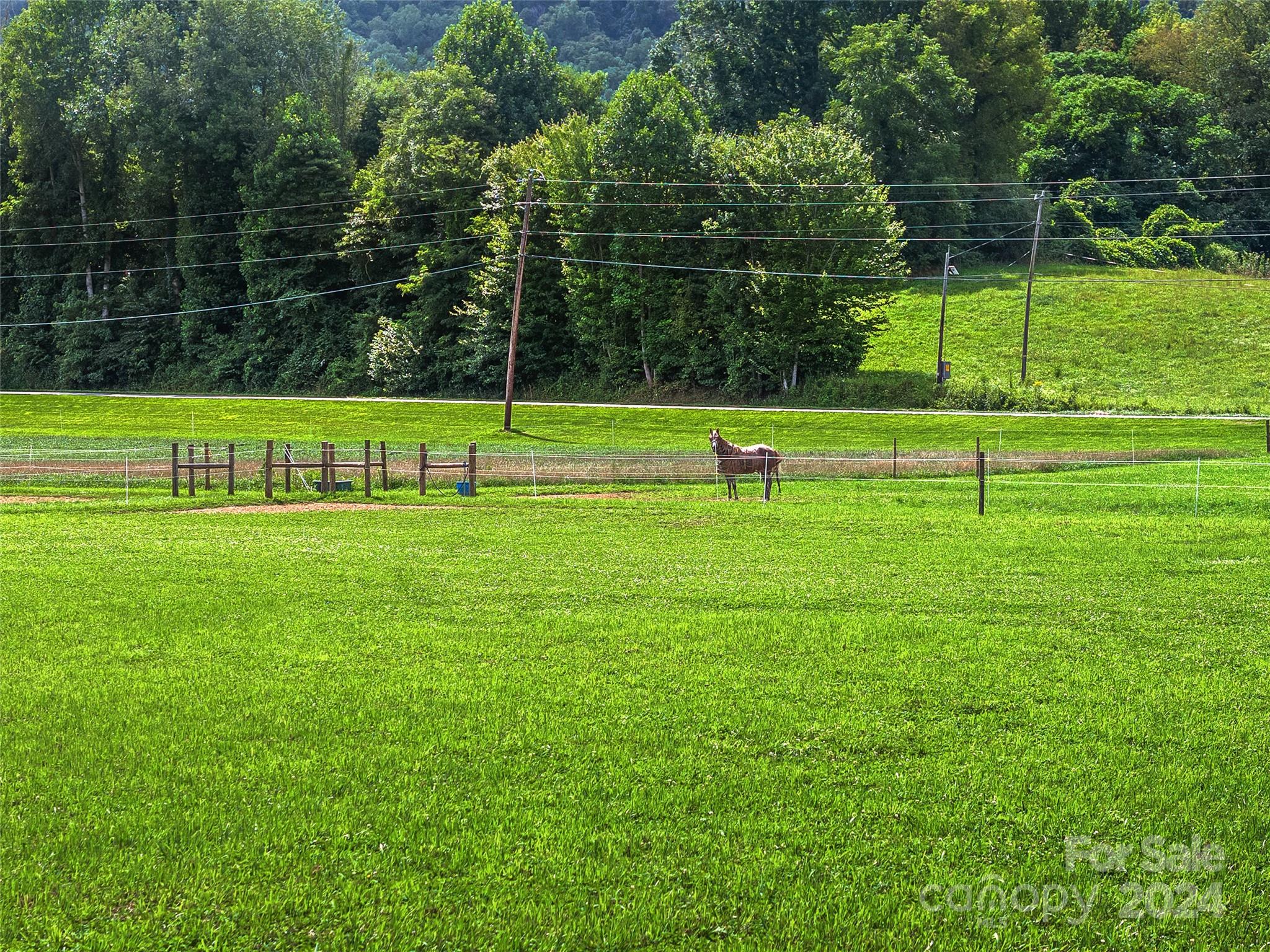 1279 Raccoon Road Waynesville, NC 28786 - Photo 44 of 47 Gallery Image 44