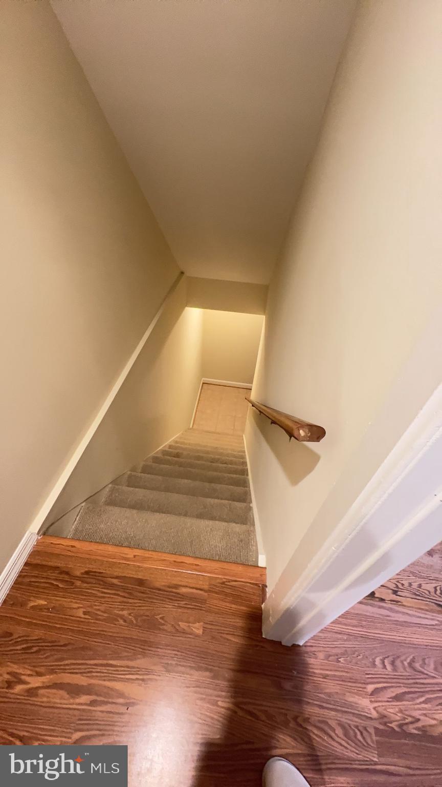 6610 Cypress Point Road Alexandria, VA 22312 - Photo 12 of 27 Down