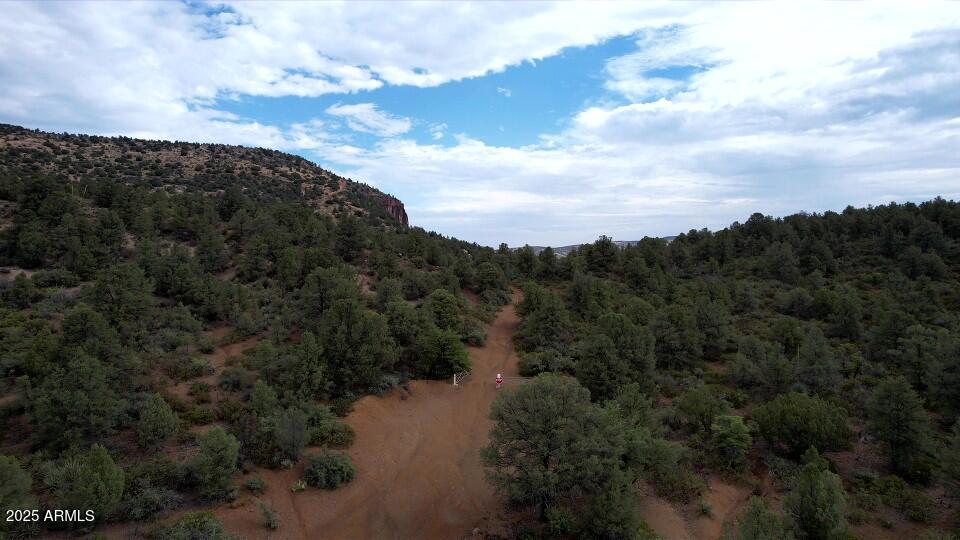 0 North Forest Rd Lake Globe, AZ 85501 - Photo 9 of 19