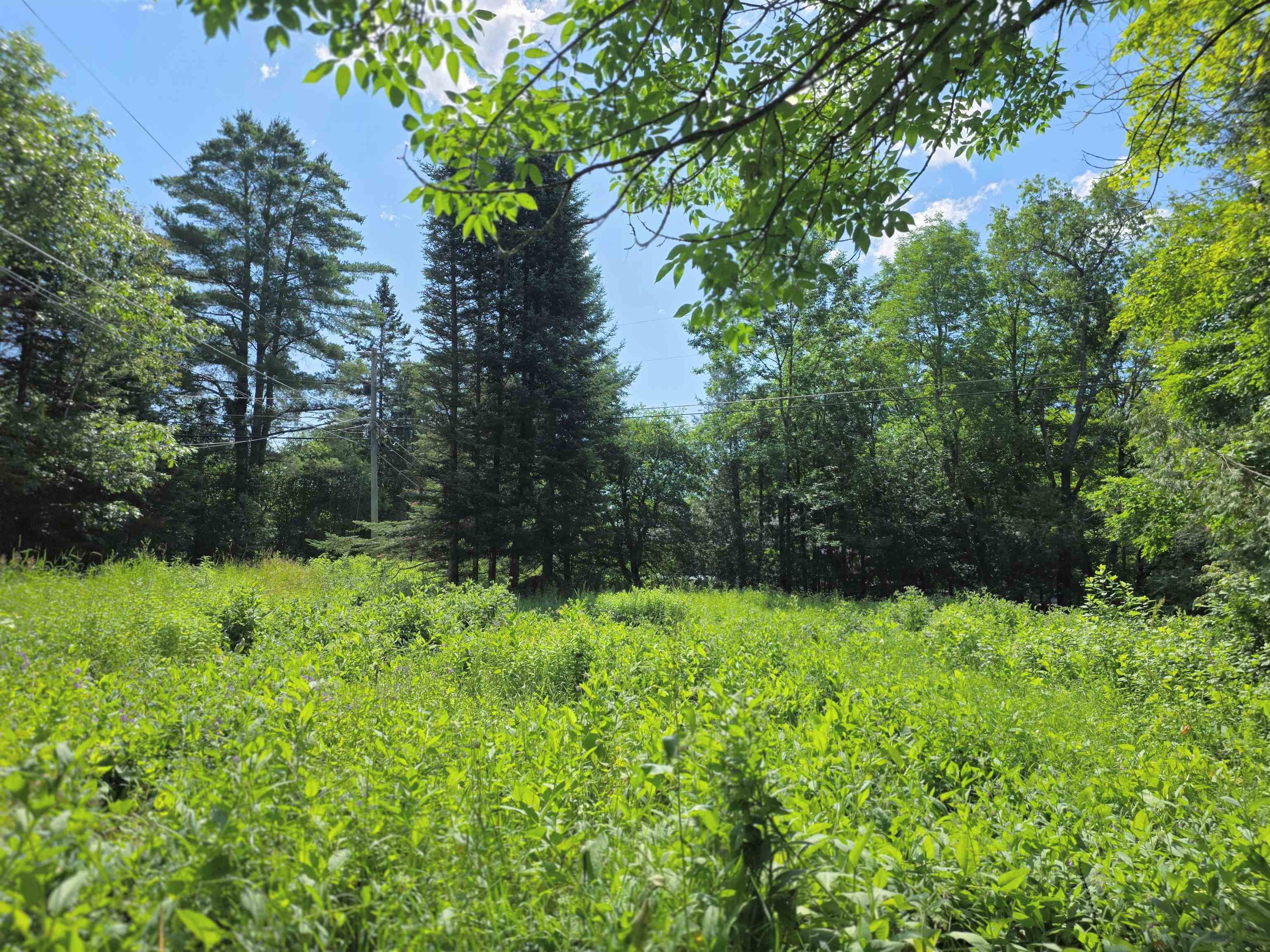 76 Harveys Hollow Road Danville, VT 05828 - Photo 44 of 48