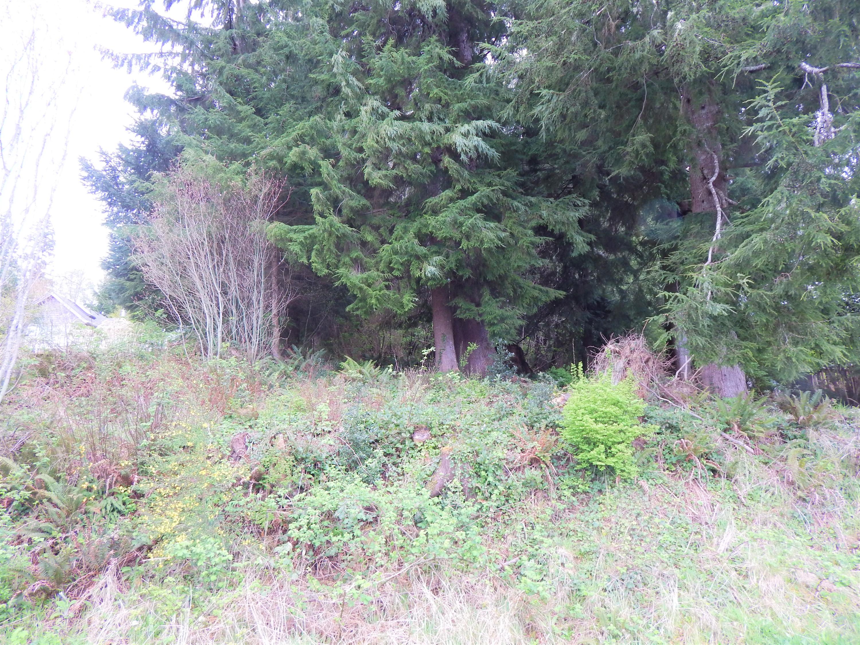 7 4th Street Wheeler, OR 97147 - Photo 2 of 3 DSCN1957 (2)