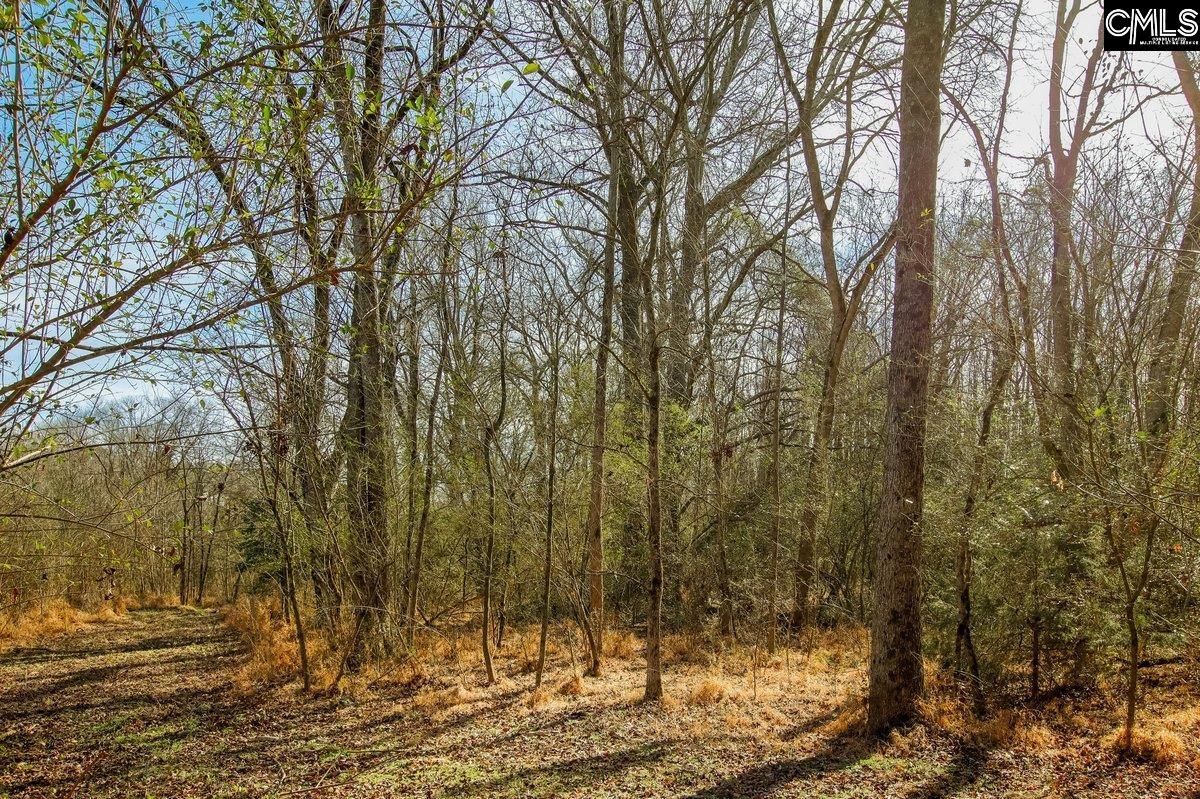 561 Church Road Batesburg, SC 29006 - Photo 19 of 24